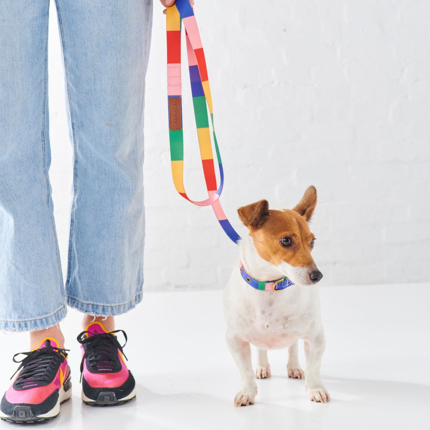 KIP & CO RAINBOWS END DOG LEAD
