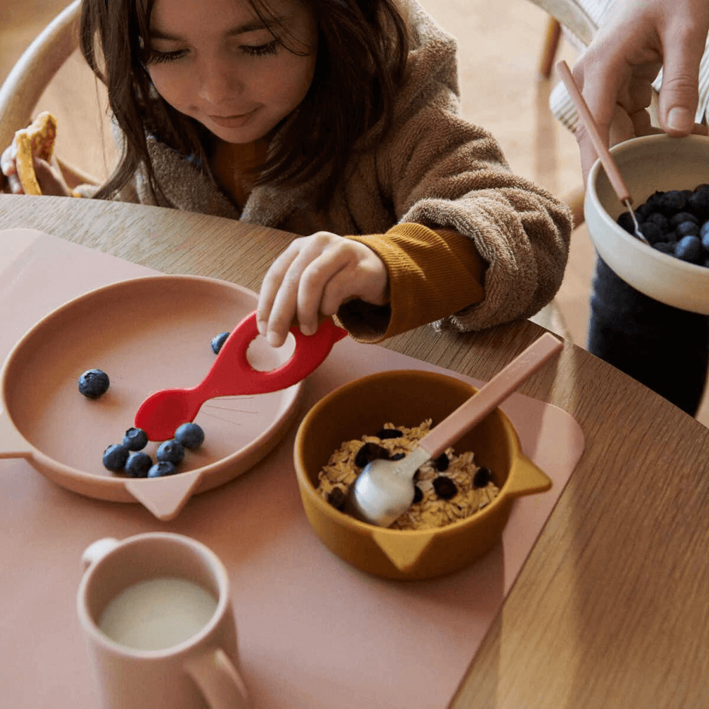 VIVI SILICONE TABLEWARE 4 PACK Cat rose multi mix