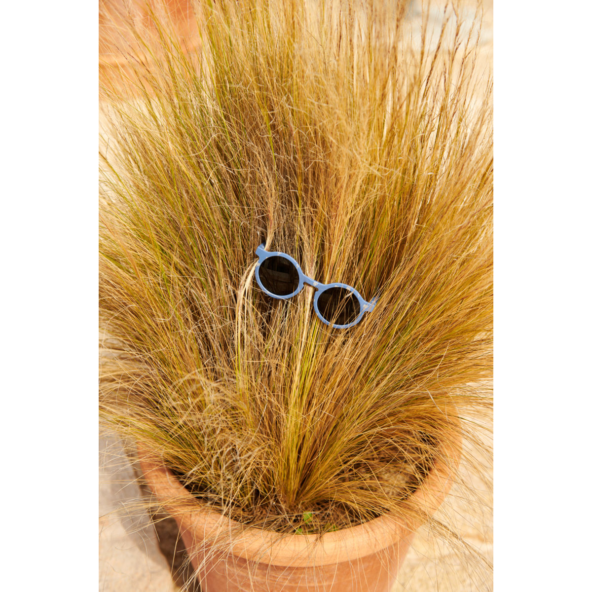 LIEWOOD DARLA SUNGLASSES 4-10 Y Palms / Riverside