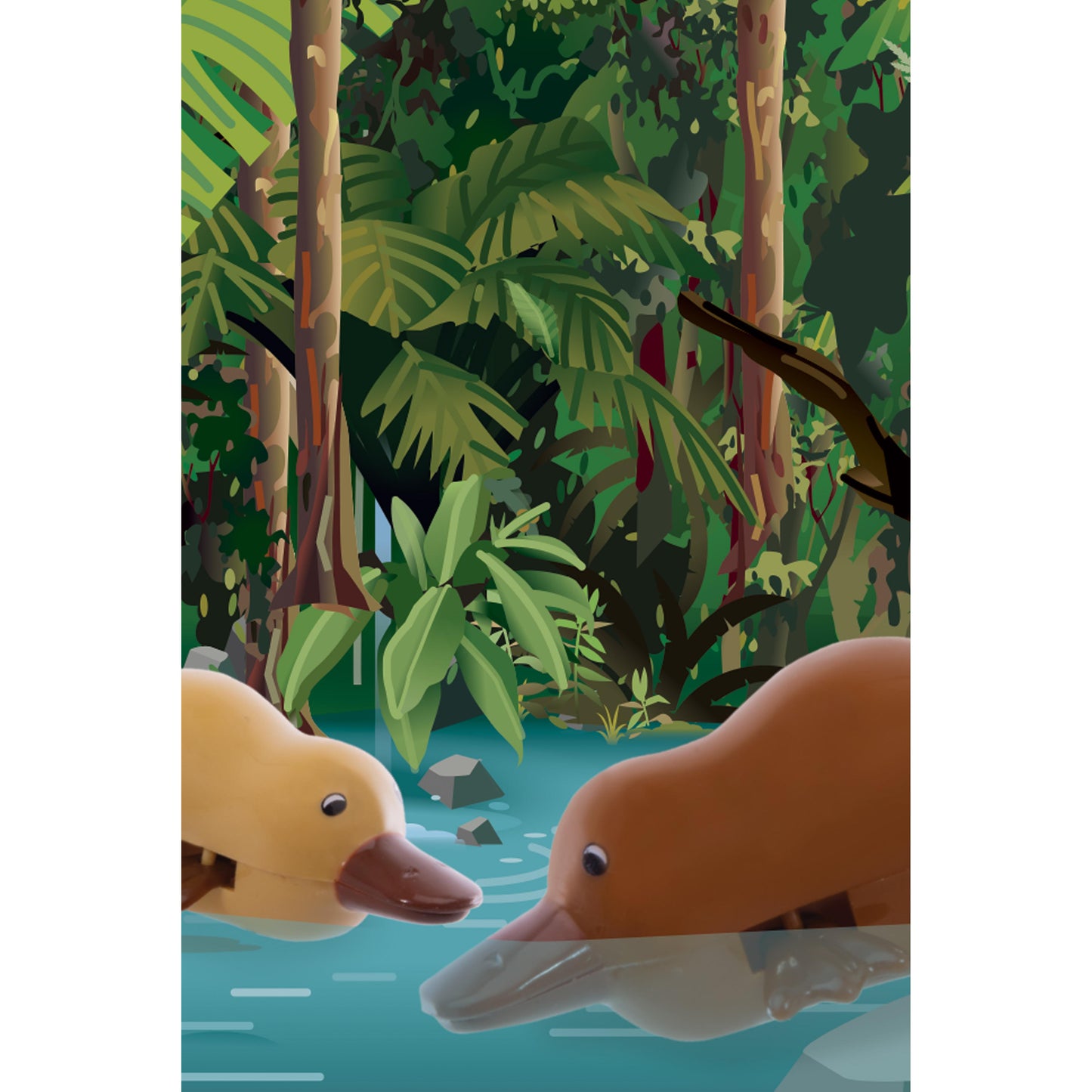 THE AUSTRALIAN COLLECTION Wind Up Paddling Platypus