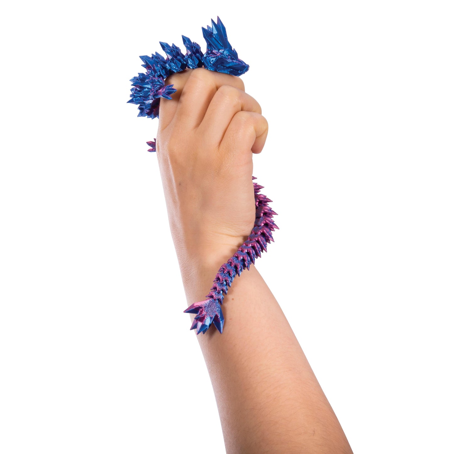 Discovery Zone 3D Sensory Dragon (One Item, Random Colour)