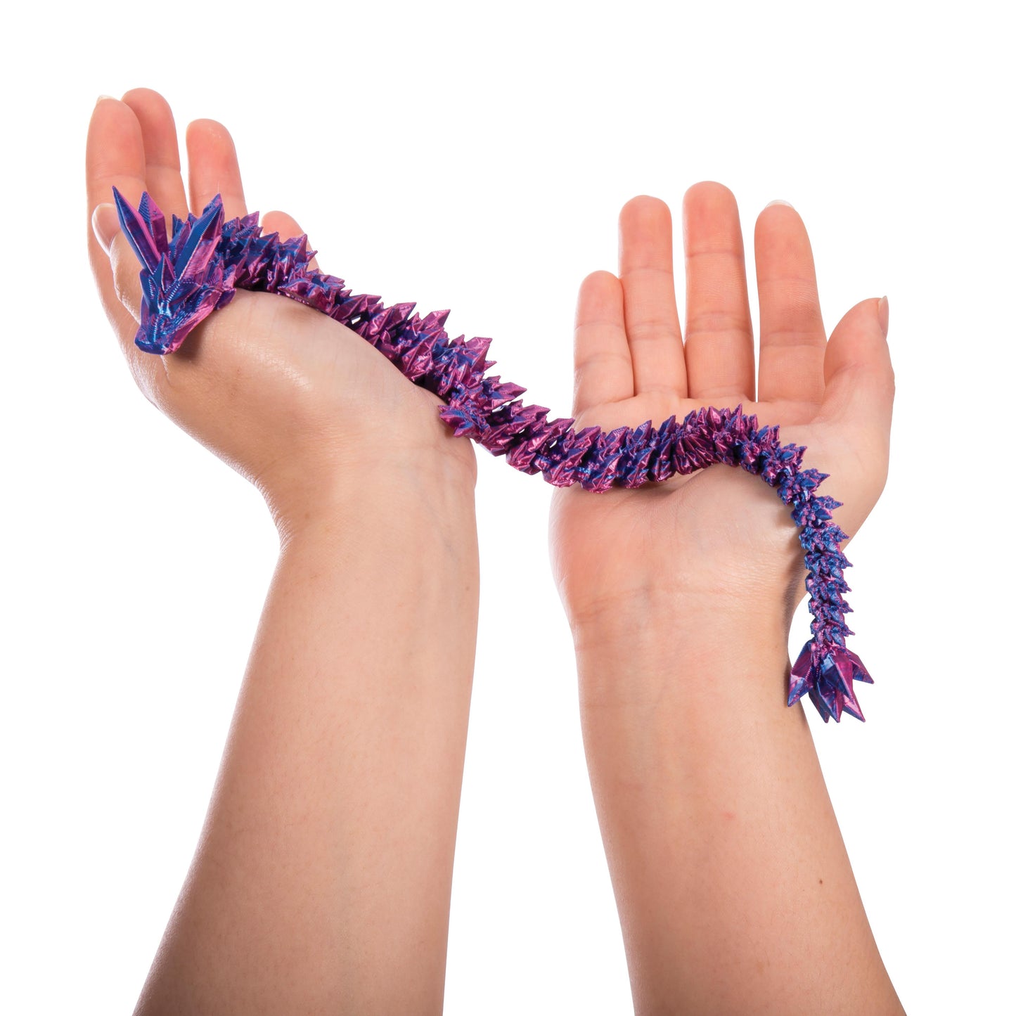 Discovery Zone 3D Sensory Dragon (One Item, Random Colour)