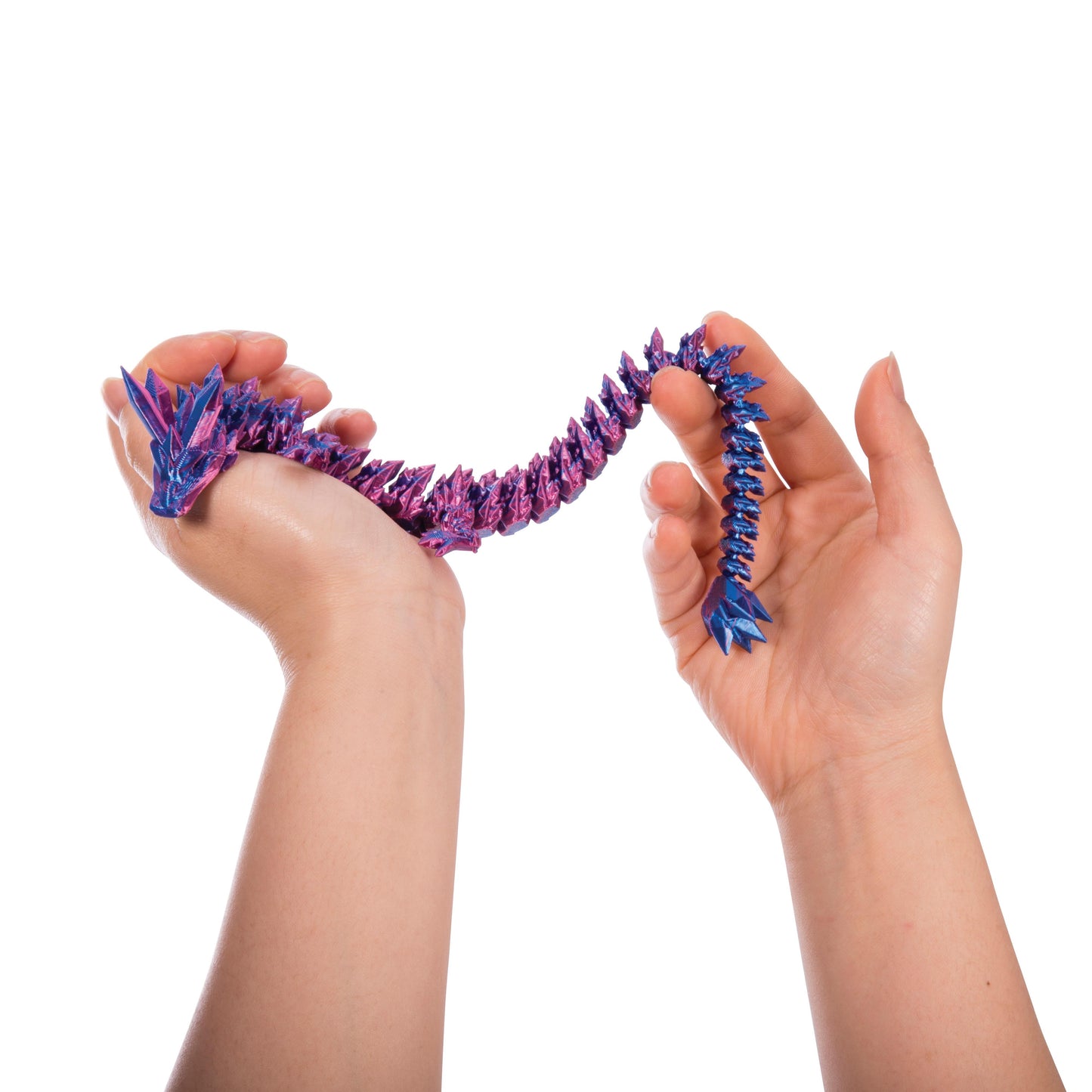 Discovery Zone 3D Sensory Dragon (One Item, Random Colour)