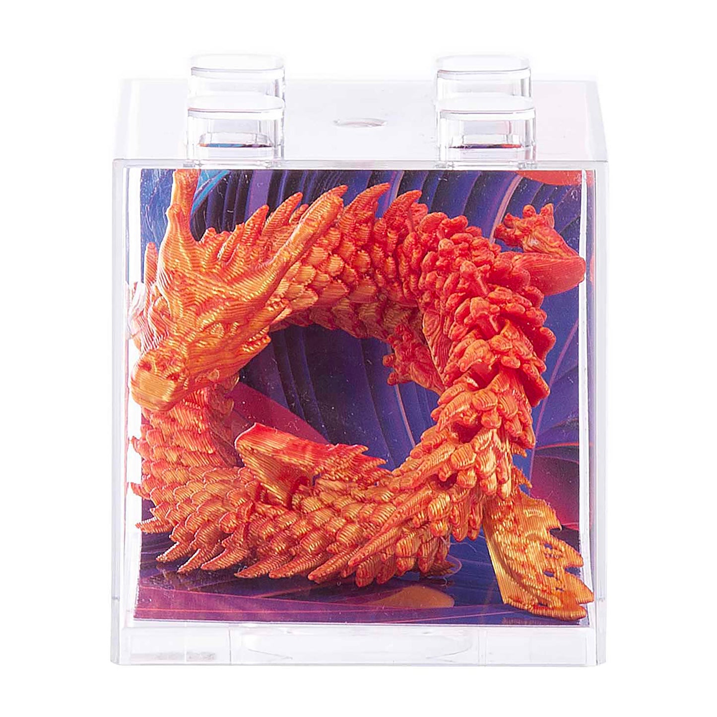 Discovery Zone 3D Sensory Dragon (One Item, Random Colour)