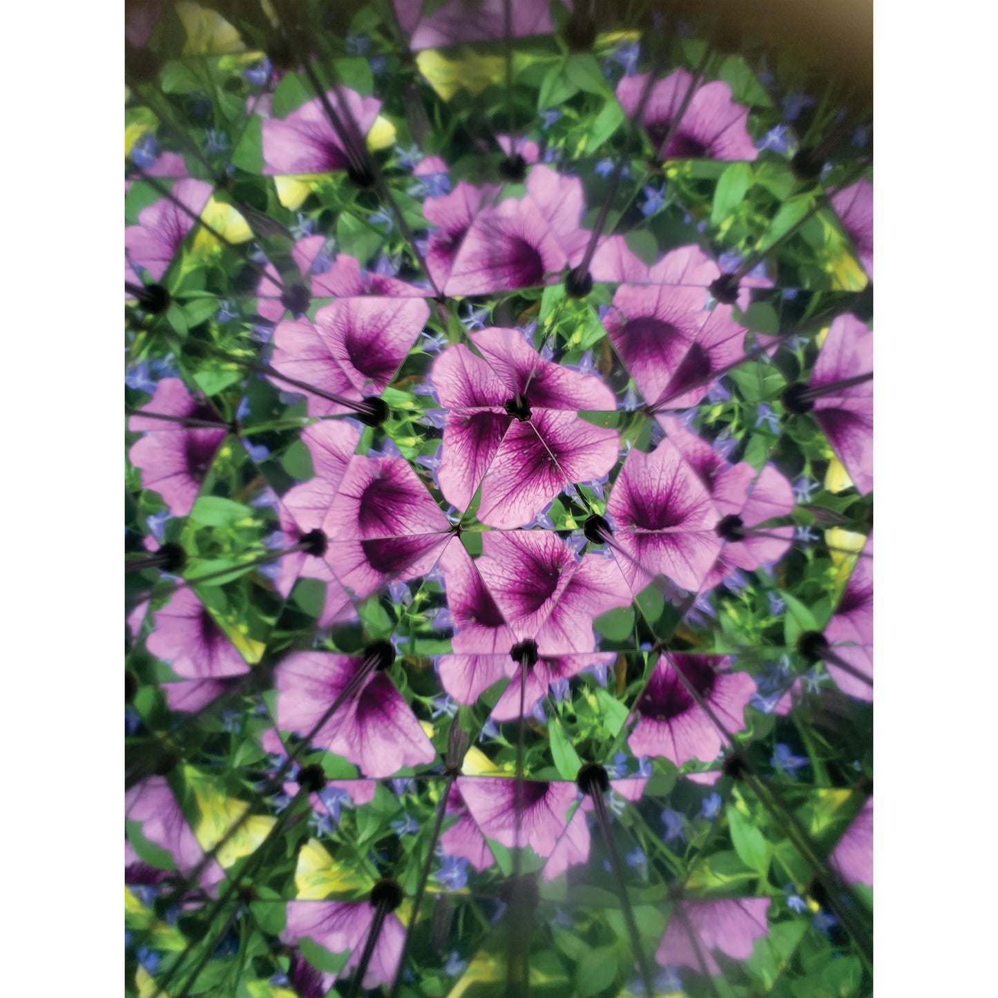 Kikkerland Great Outdoors ­ Kaleidoscope