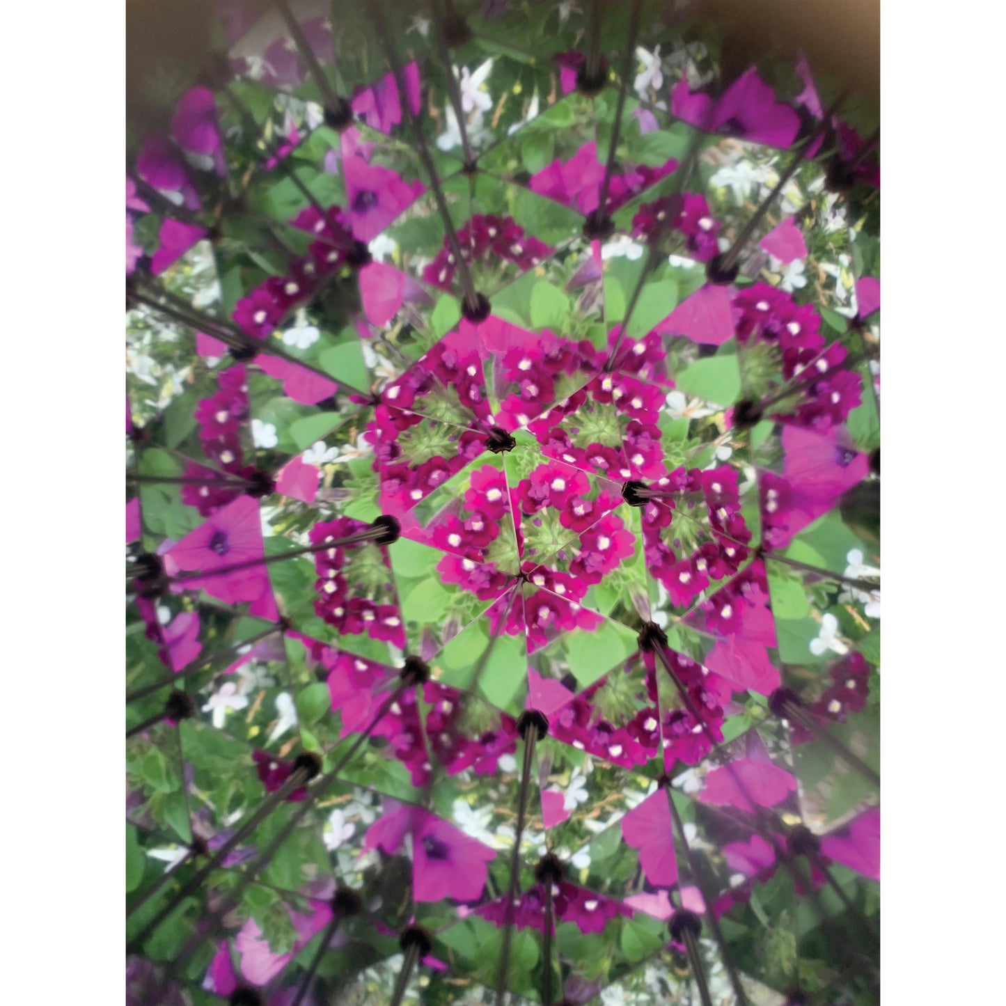 Kikkerland Great Outdoors ­ Kaleidoscope