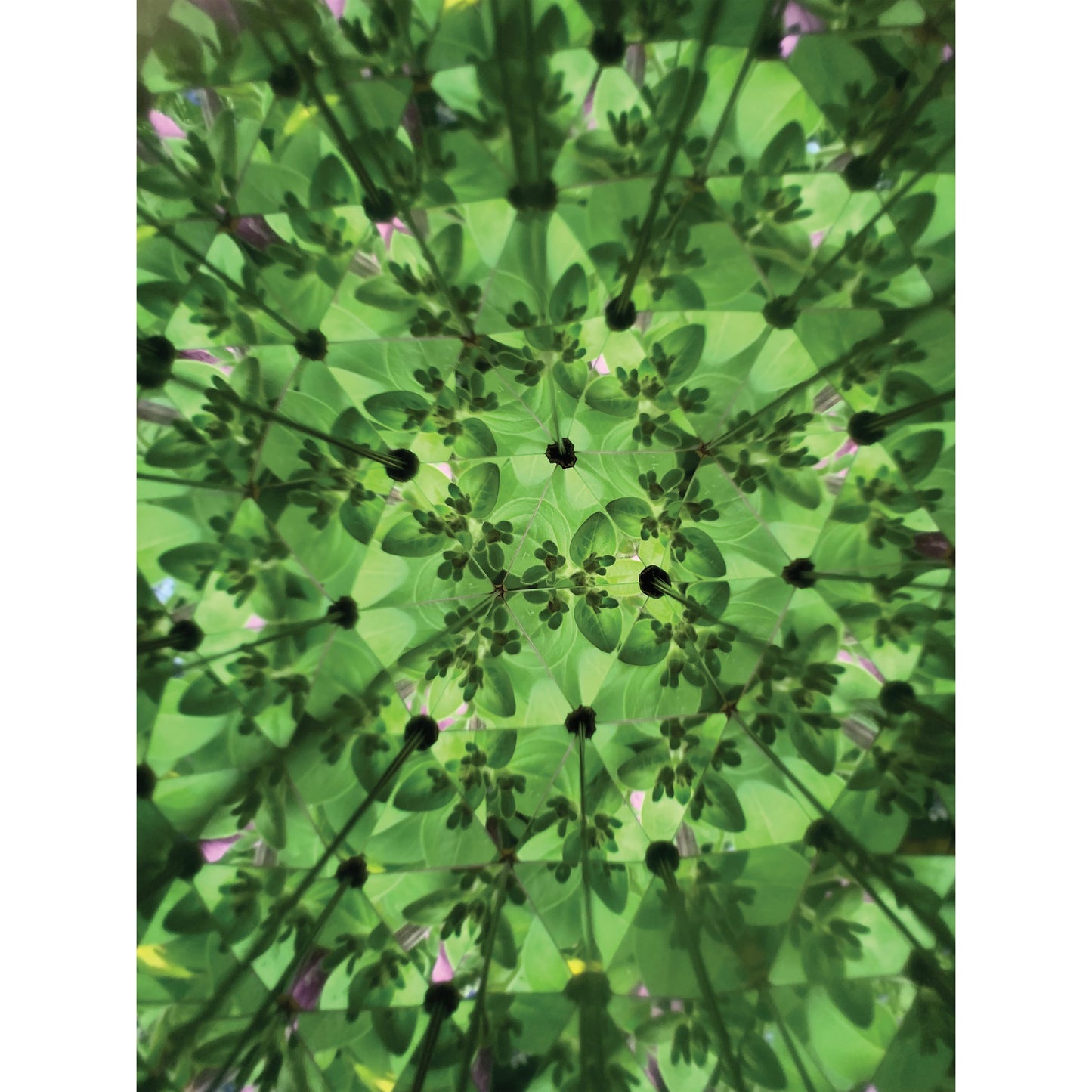 Kikkerland Great Outdoors ­ Kaleidoscope