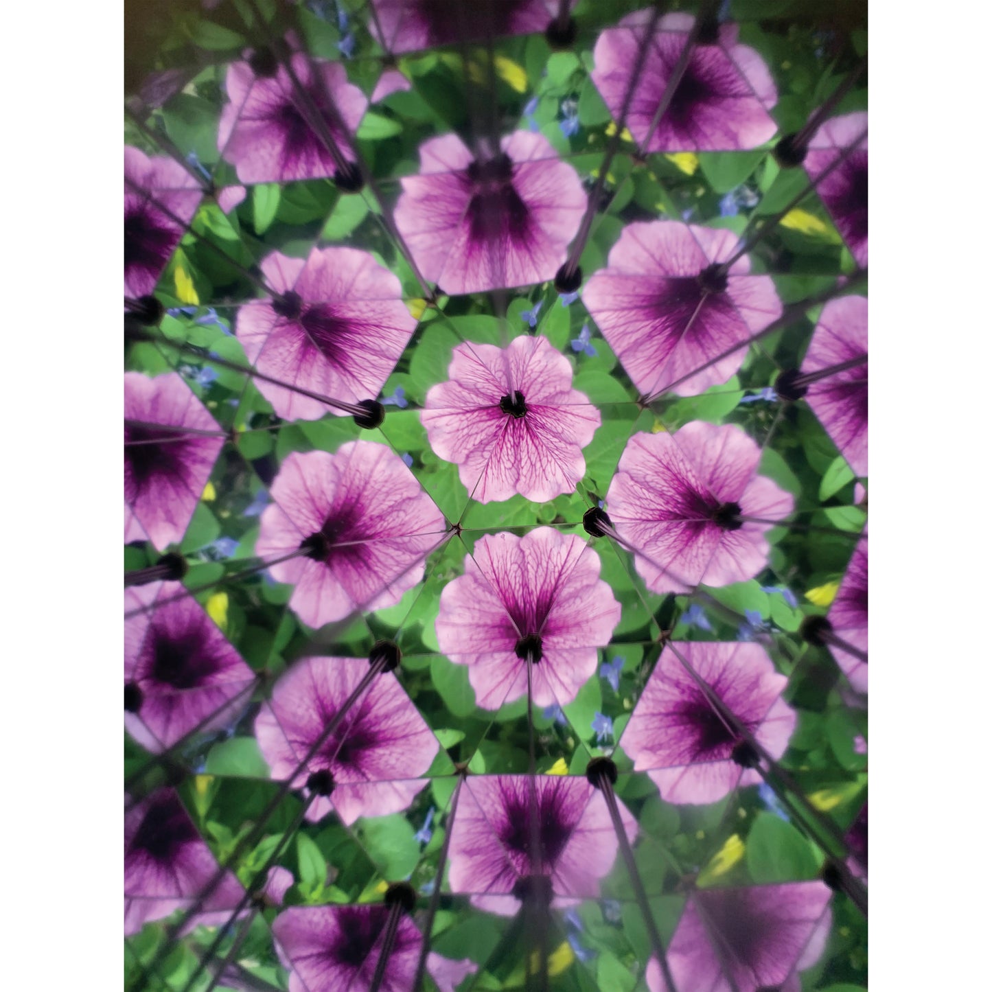 Kikkerland Great Outdoors ­ Kaleidoscope
