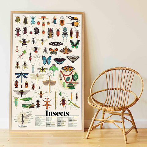 Poppik Fun Sticker Kit: Huge Illustrated Insect Poster for Children