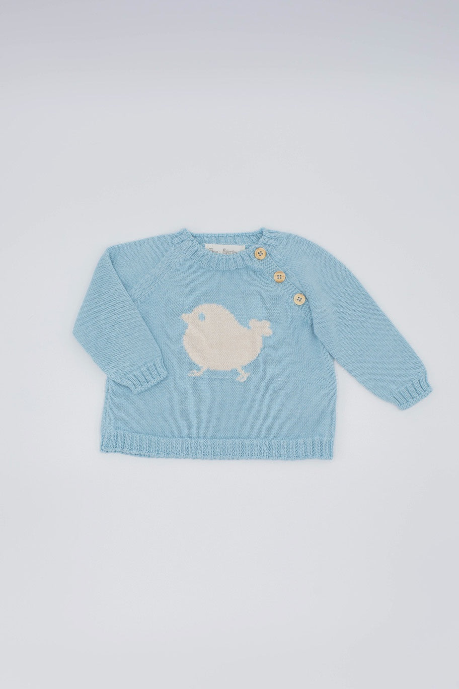 Fina Ejerique  ORGANIC COTTON JUMPER CHICK P21C14