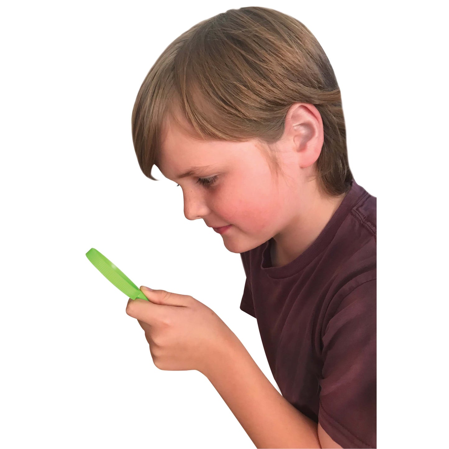 DISCOVERY ZONE BUG STUDY SET GREEN