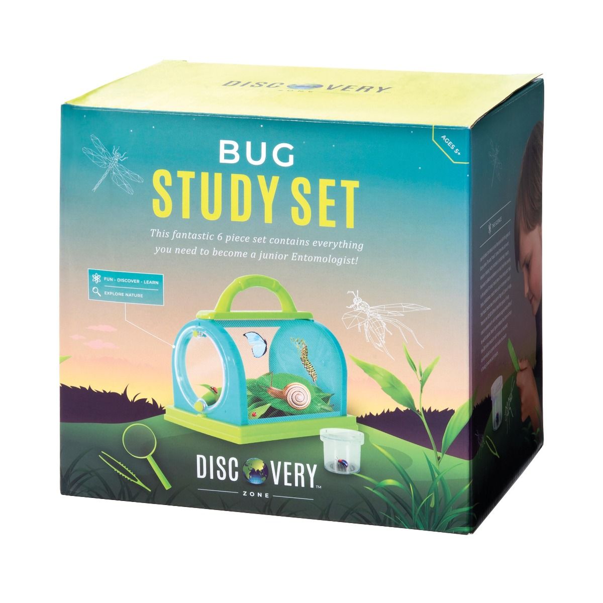 DISCOVERY ZONE BUG STUDY SET GREEN