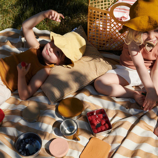 Liewood FIBY SNACK BOX SET  CAT APPLE RED/TUSCANY ROSE MIX