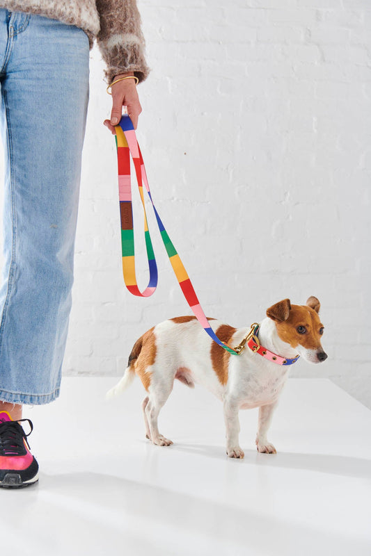 KIP & CO RAINBOWS END DOG LEAD