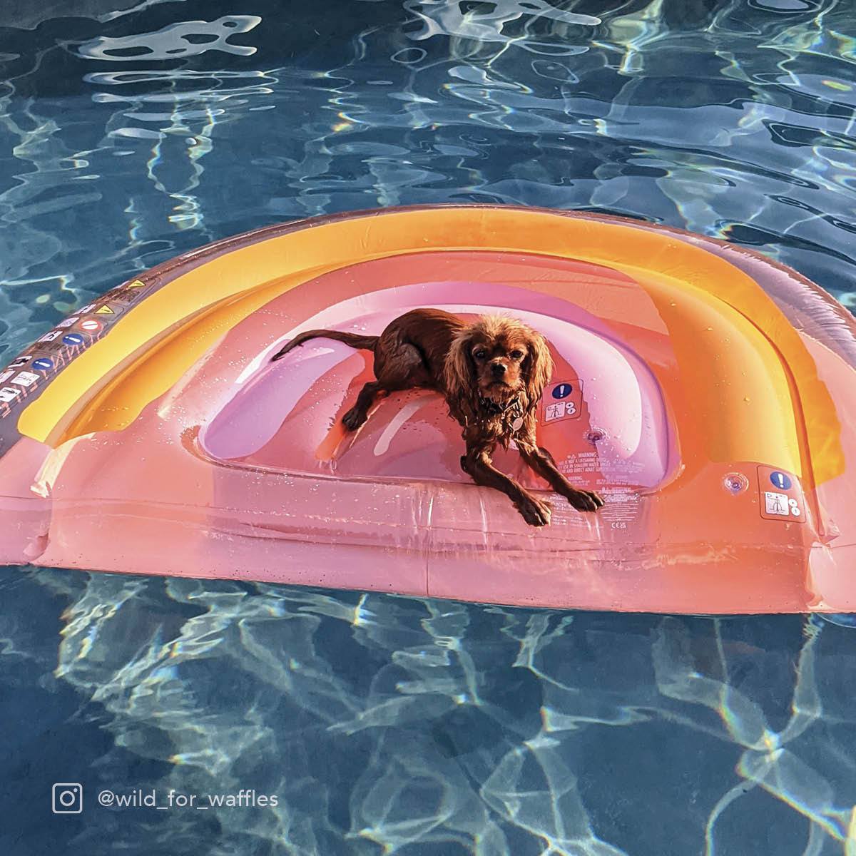 SUNNYLIFE Float Away Lie On Rainbow - Peachy Pink