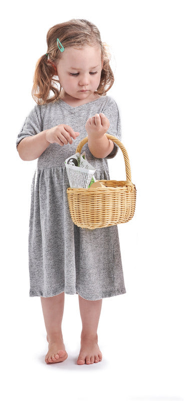 Tender Leaf Toys  Wicker Shopping Basket Set