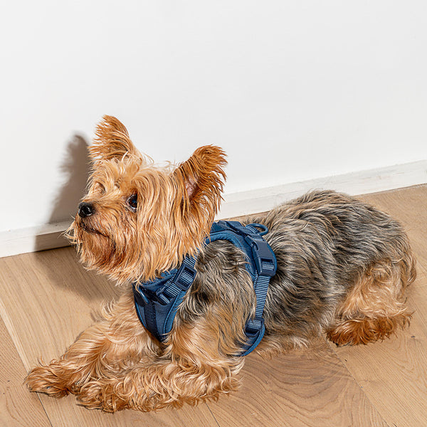 Wild One Dog Harness Small Navy